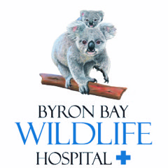 Byron Bay Wildlife Hospital Logo
