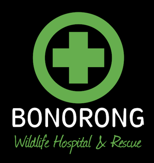 Bonorong Wildlife Hosptial and Rescue logo