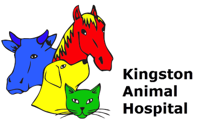 Kingston Animal Hospital Logo