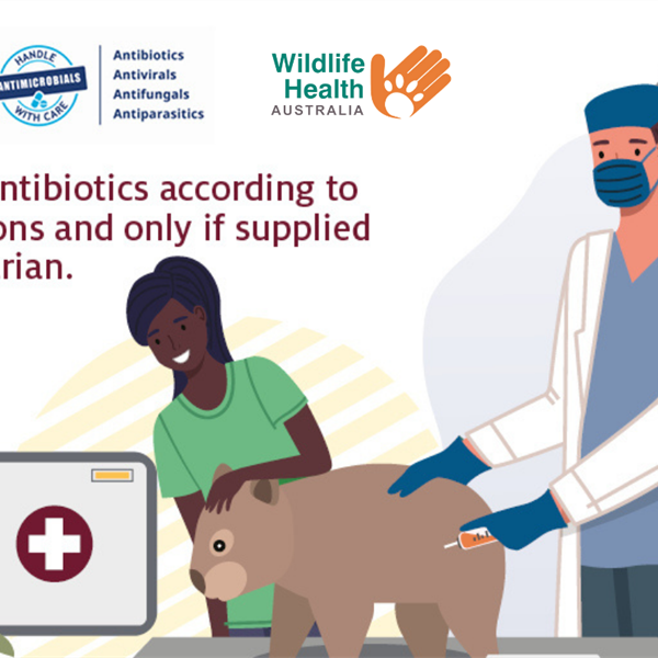 Antimicrobial Resistance and Australian Wildlife
