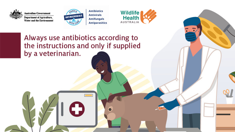 Antimicrobial Resistance and Australian Wildlife