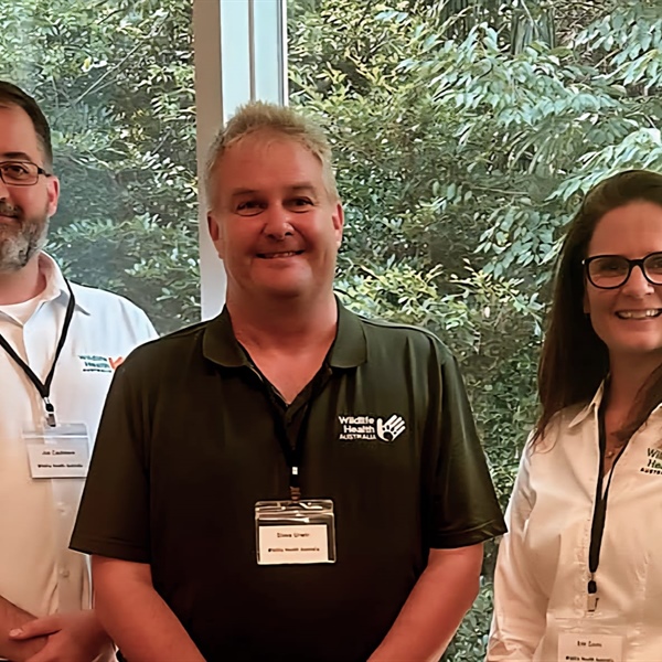 Celebrating Ten Years of One Health Day: Connecting Wildlife, People and Planet