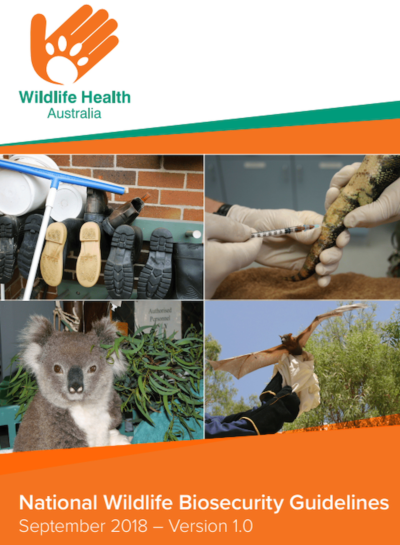 Front page image of Biosecurity Guidelines