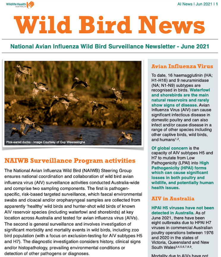 Cover of Wild Bird News newsletter