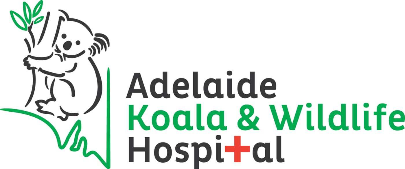 Adelaide Koala & Wildlife Hospital logo