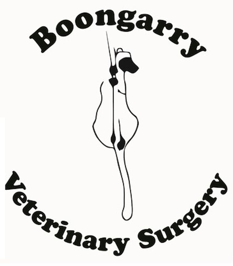 Boongary Veterinary Surgery logo