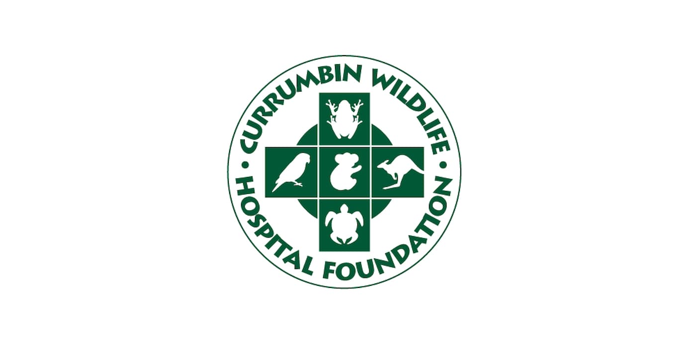 Currumbin WIldlife Hospital Foundation logo