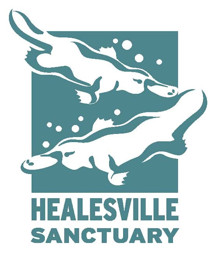 Healesville Sanctuary logo