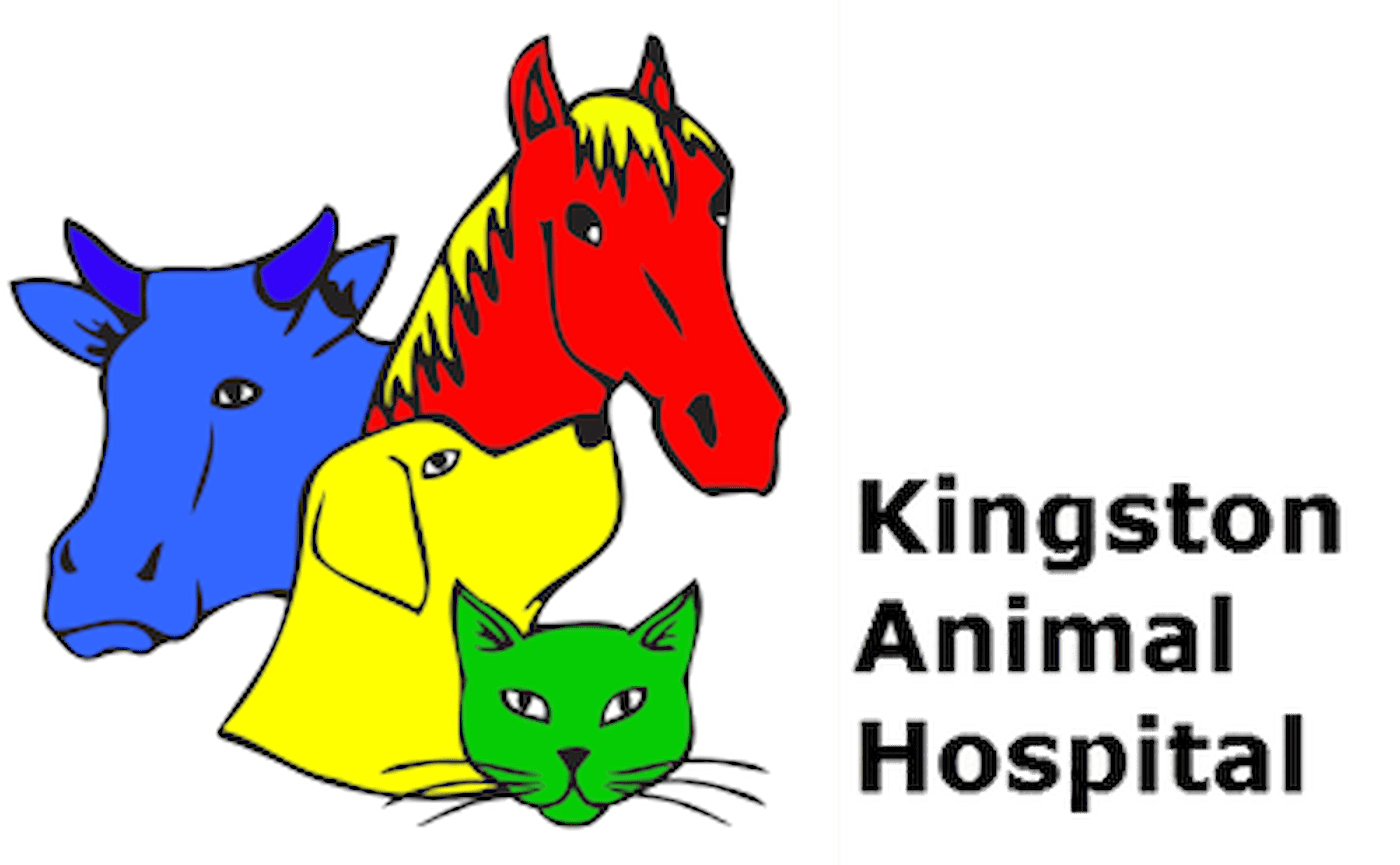 Kingston Animal Hospital Logo