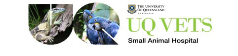 University of Queensland logo